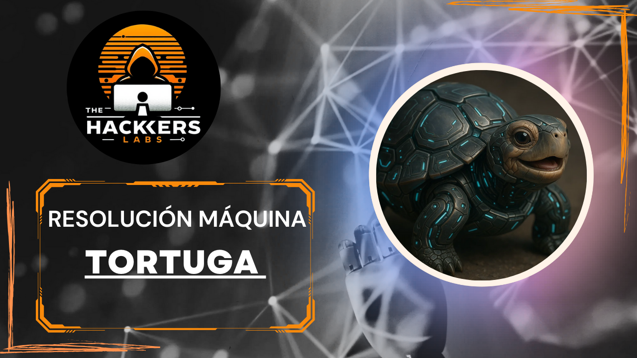 Resolución del CTF: Tortuga